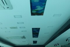 20160613_114811
