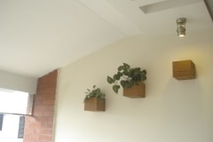 DSC00250